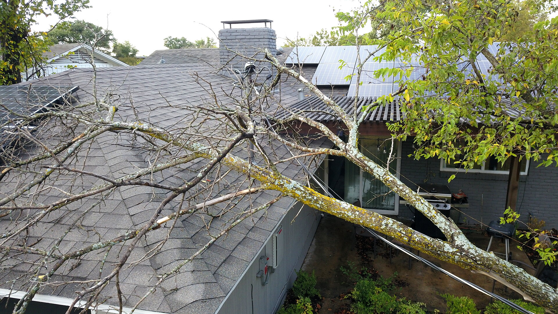 Drone inspection of tree fallen on residential roof